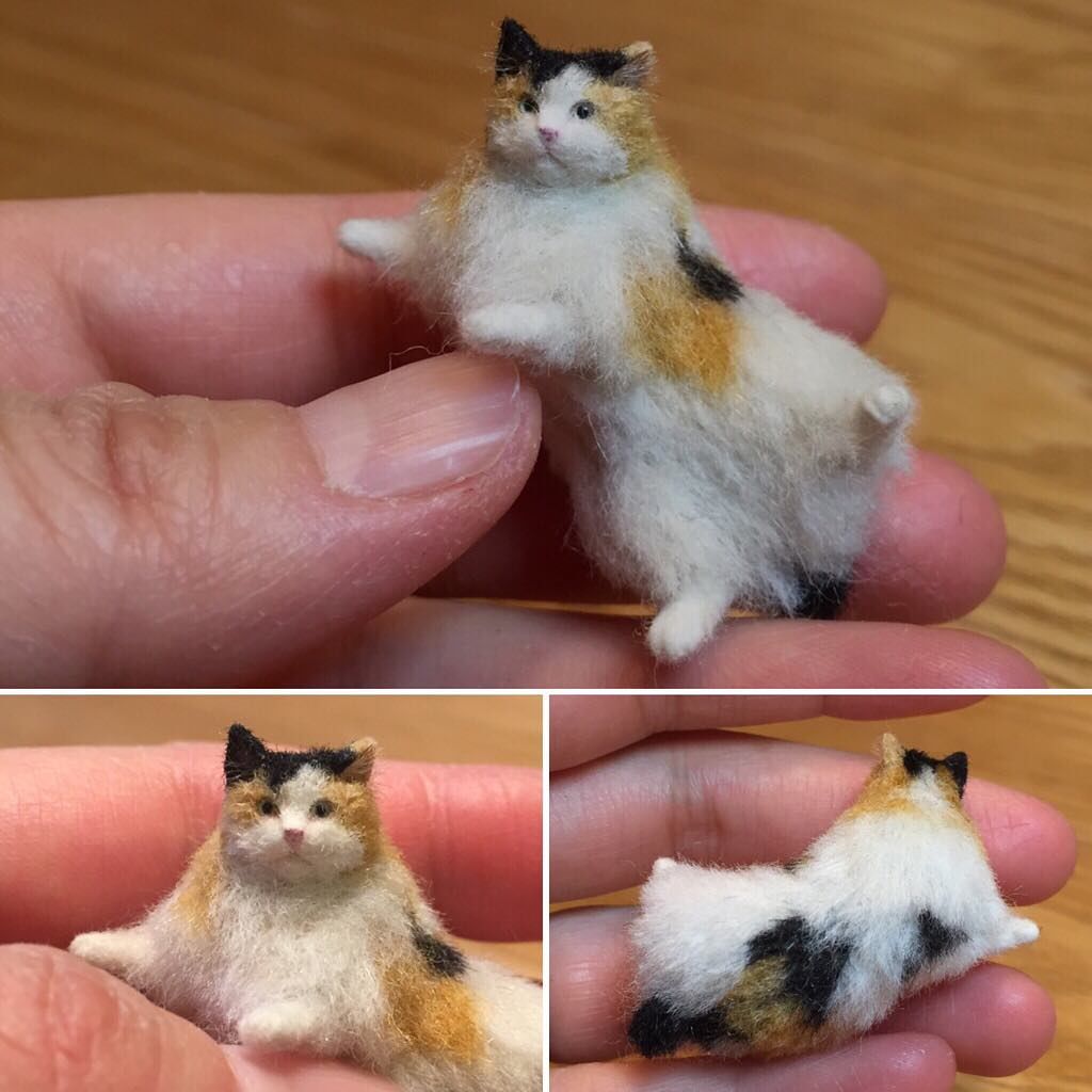 кош 6.jpg