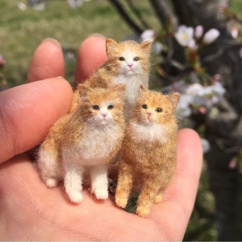 кош 7.jpg