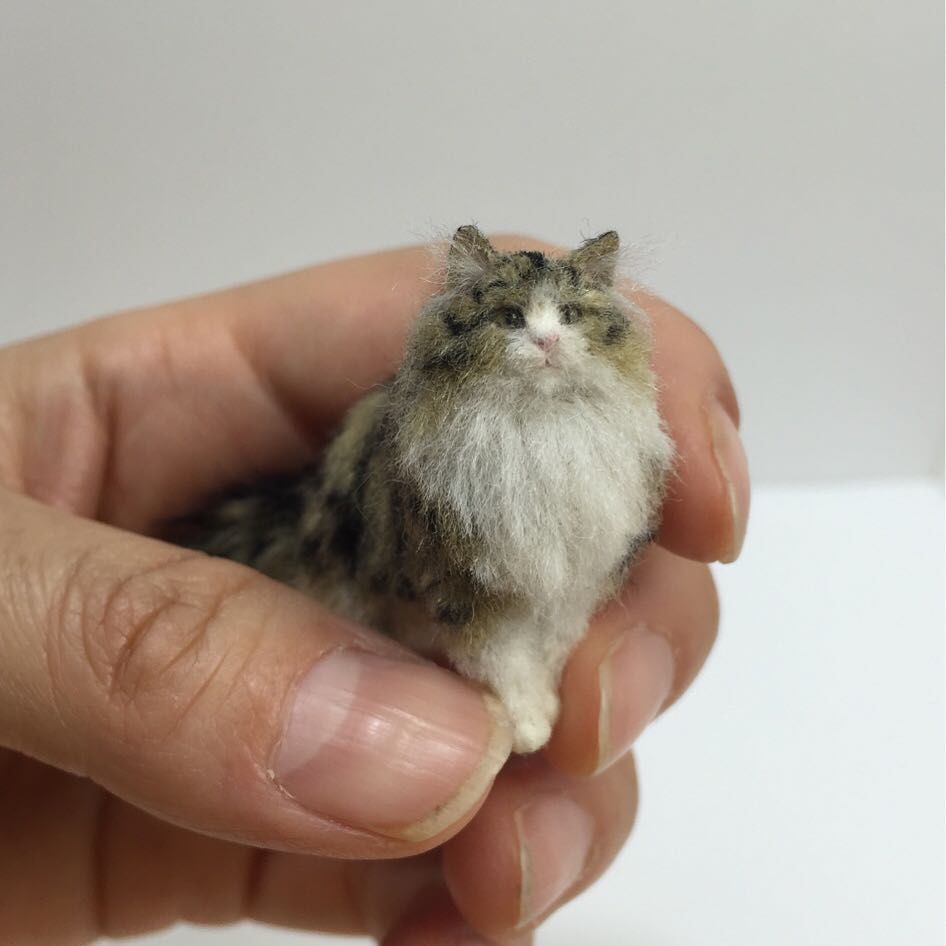 кош1.jpg