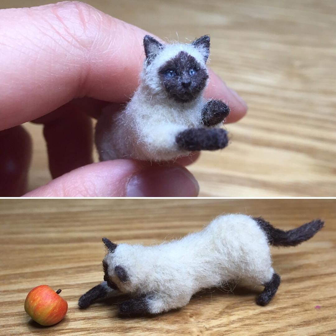 кош11.jpg