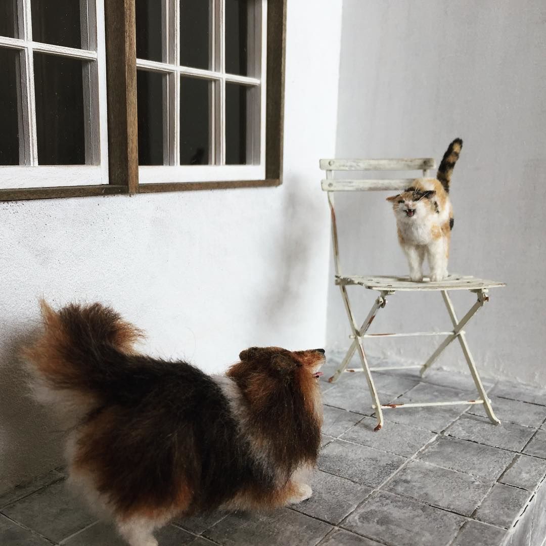 кош12.jpg