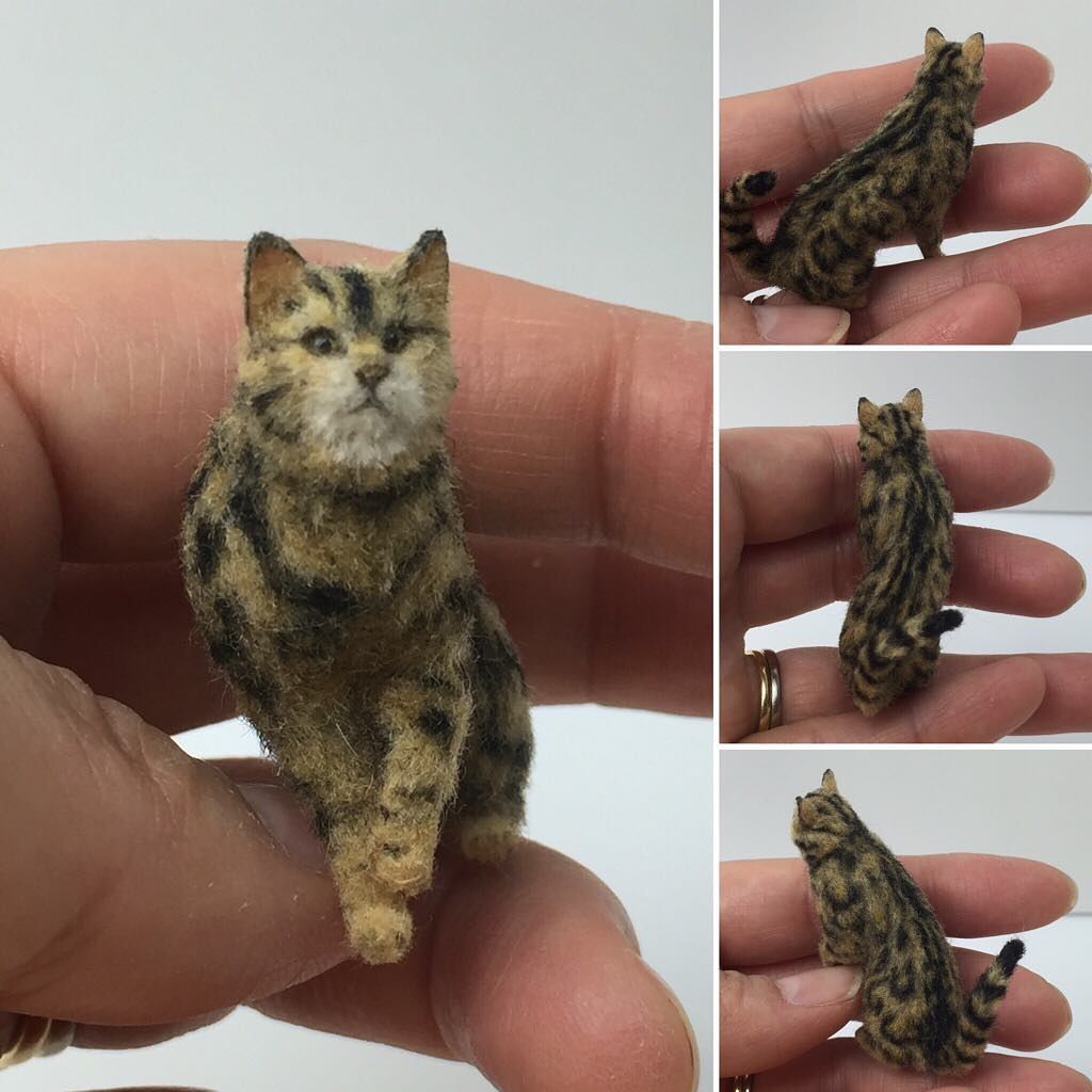 кош3.jpg