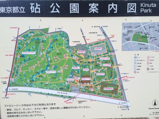 кунита 1957 caption (1).jpg