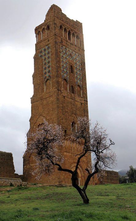 маринMinaret_de_la_Mansourah_(Tlemcen).jpg