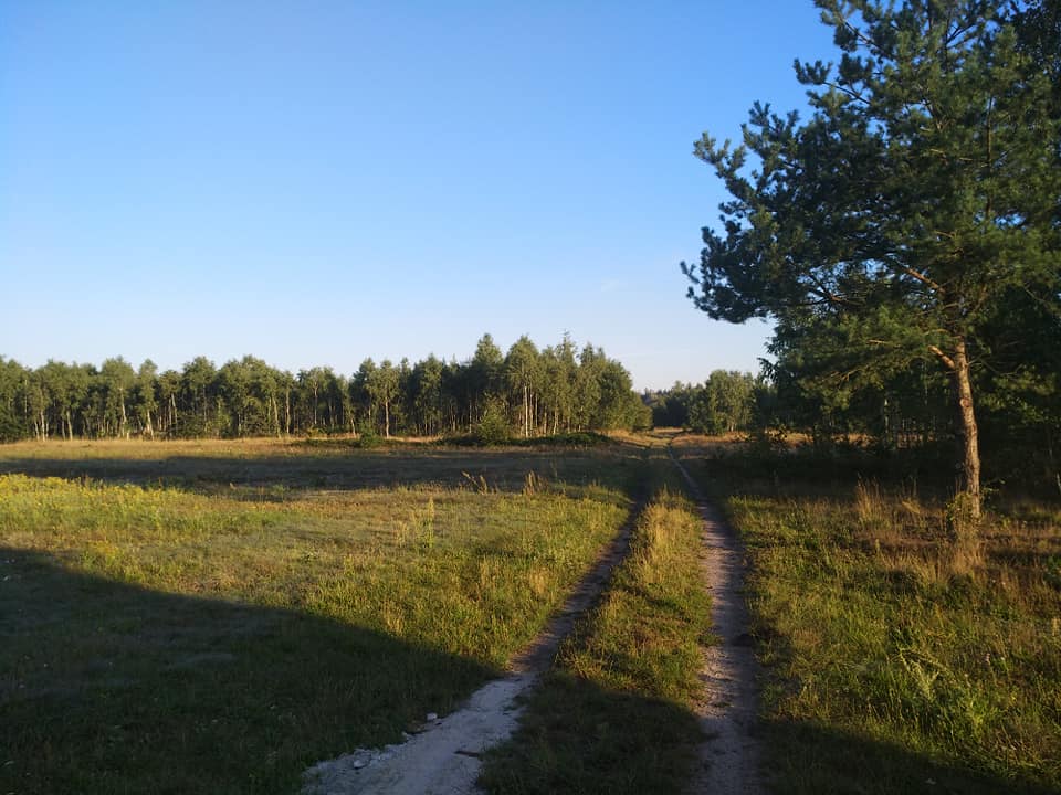 паломн 9.jpg