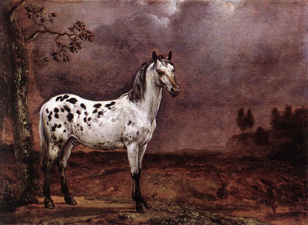 поттер the_spotted_horse-large.jpg