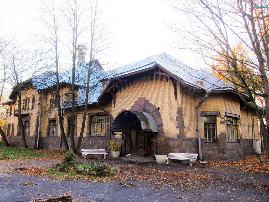 псих 97986767.jpg