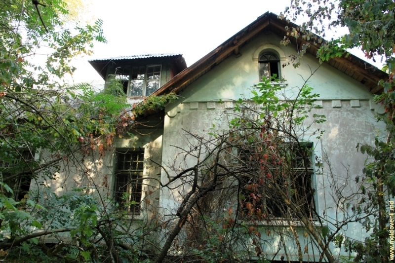редю маре 21c09e171b87dd0628fe0b0c10d5487f_747_800.jpg