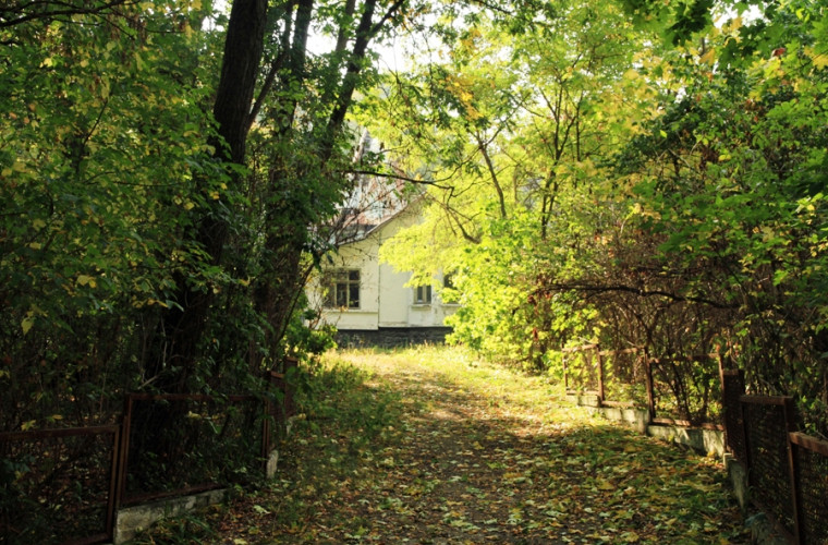 редю маре 333561.jpg