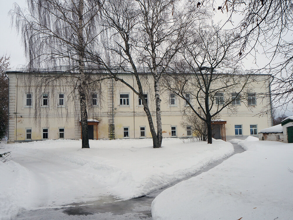 рогозинаscale_1200.jpg