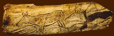 руффиньяк 443323444.jpg