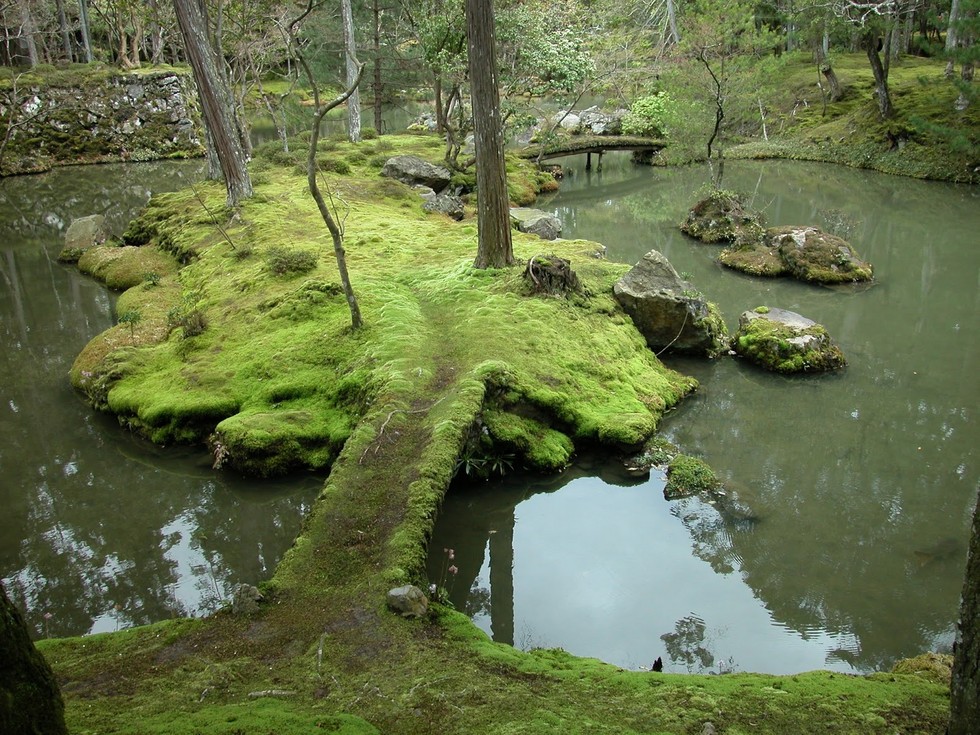 сайходзиbmoss_garden_the_personification_of_beauty_and_fluidity_7_1.jpg