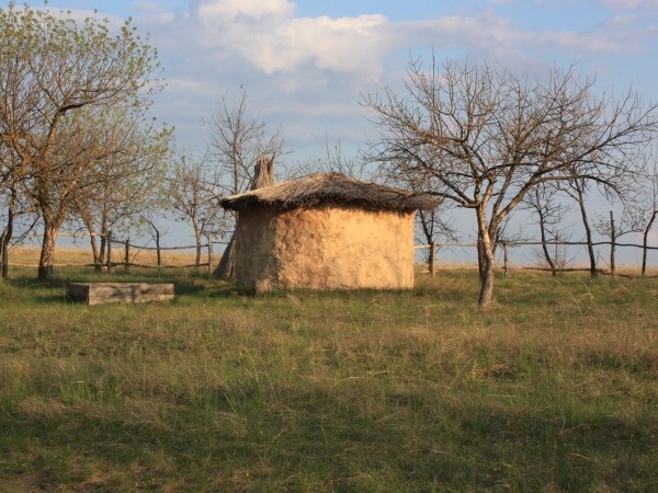 салт340958_600.jpg