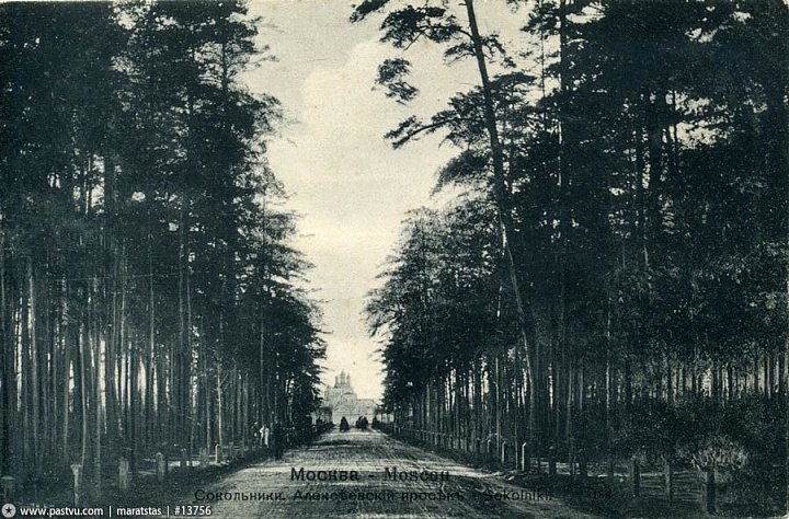 сокольники 4e4713a163a1ed5557115bdff9e86aff.jpg