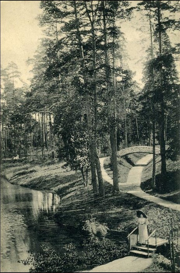 сокол 0_145da2_d83d759d_XXXL.jpg