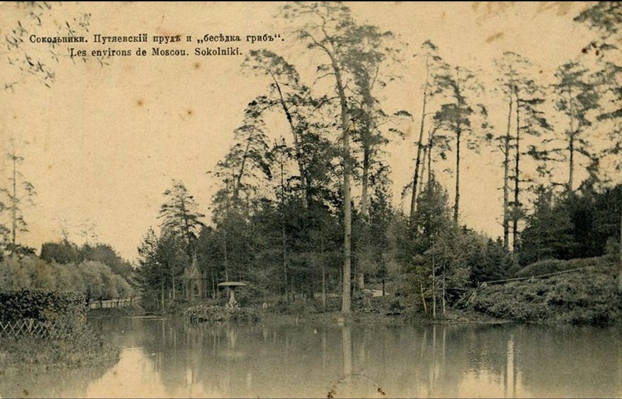 сокол0_145d97_79f371ce_XXXL.jpg