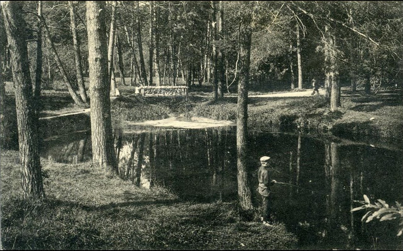 сокол0_145d9d_6f7cb814_XXXL.jpg