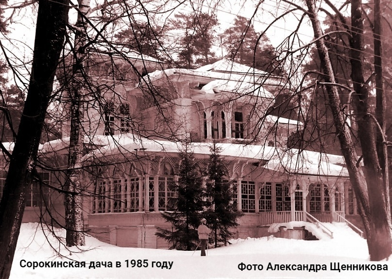 сорокинаscale_1200.png