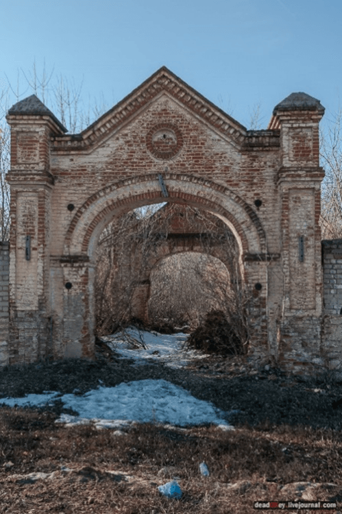 трубетчино ea481c28_125d_4ddc_ac1d_2e01b81513df_2ff422d341.png