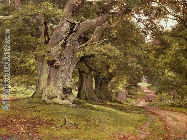 уэйтthe-oak-s-massive-trunk-aldermaston-park-berkshire-1912-by-edward-wilkins-waite.jpg
