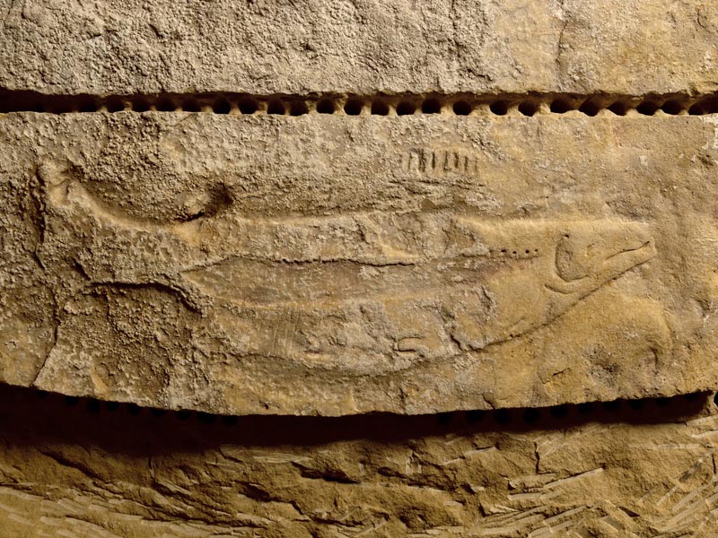 фр Abri du Poisson Prehistoric Cavepoisson-phbw09-8707_0.jpg