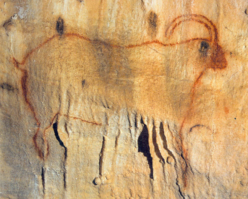 фр Cougnac Cave ibex.jpg