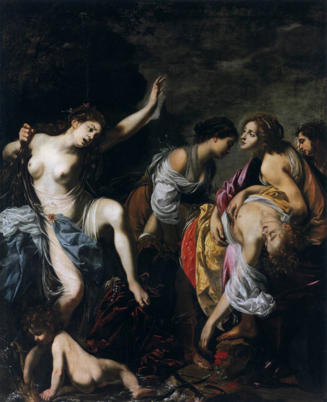 фурини venus.jpg