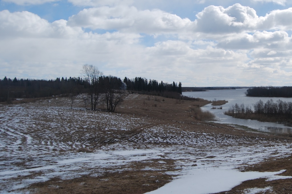 чайкаDSC_0480.jpg