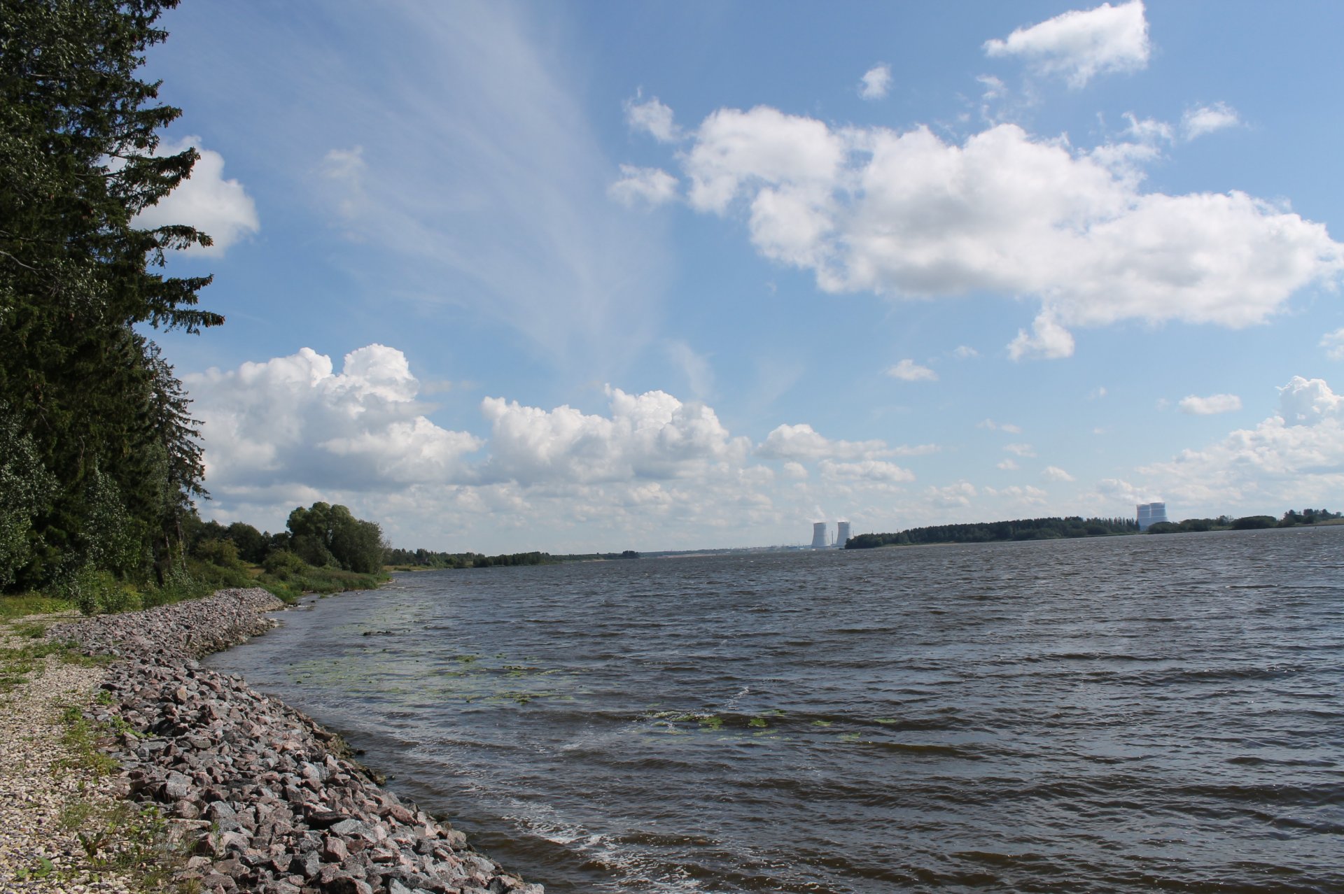 чайкаf18352c82ee394d45ec6bdd3bf59ac7.jpg