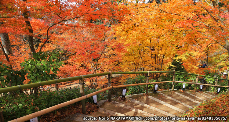 ศาลเจ้าคิตาโน่เทนมานกุ-Kitano-Tenmangu-Shrine3.jpg