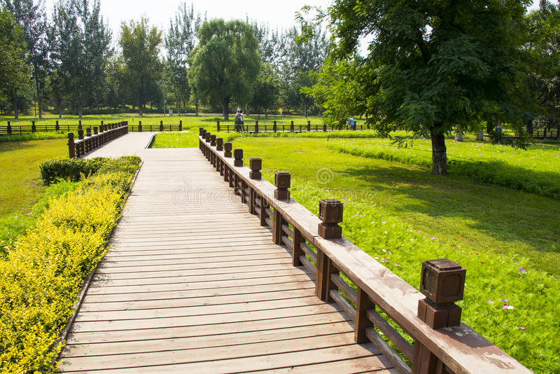 亚-中国，北京，奥林匹克森林公园，风景architectureï-œwooden足迹-77341666.jpg