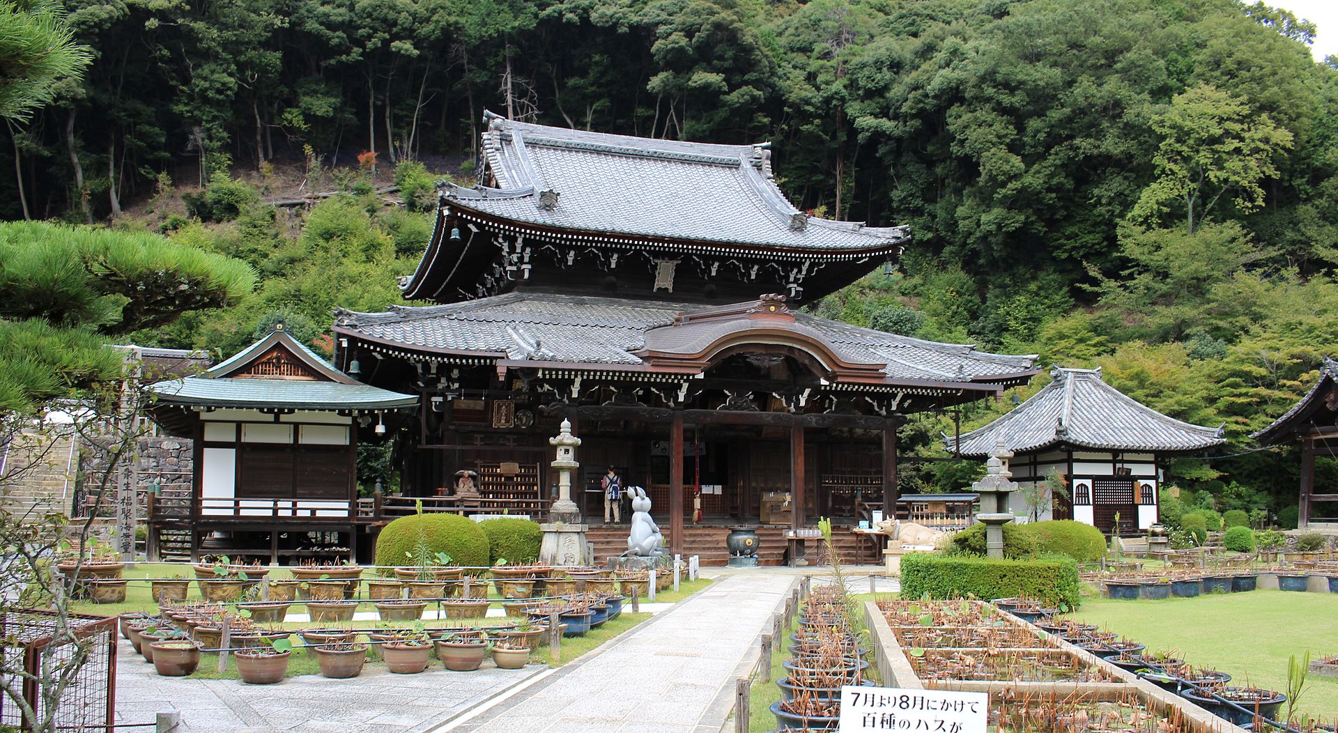 京都府宇治市２１_三室戸寺_-_panoramio.jpg
