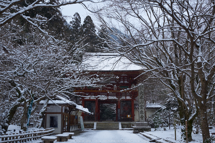 奈良,室生寺,雪景(EM100047,20 mm,F7.1)2016yaotomi-thumb-700xauto-69924.jpg