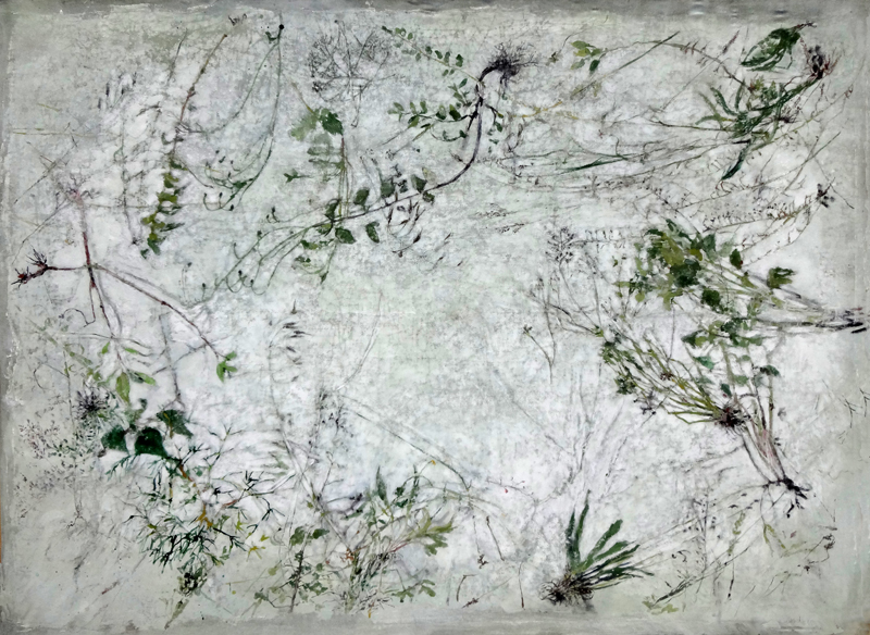 000aaaherbier.jpg