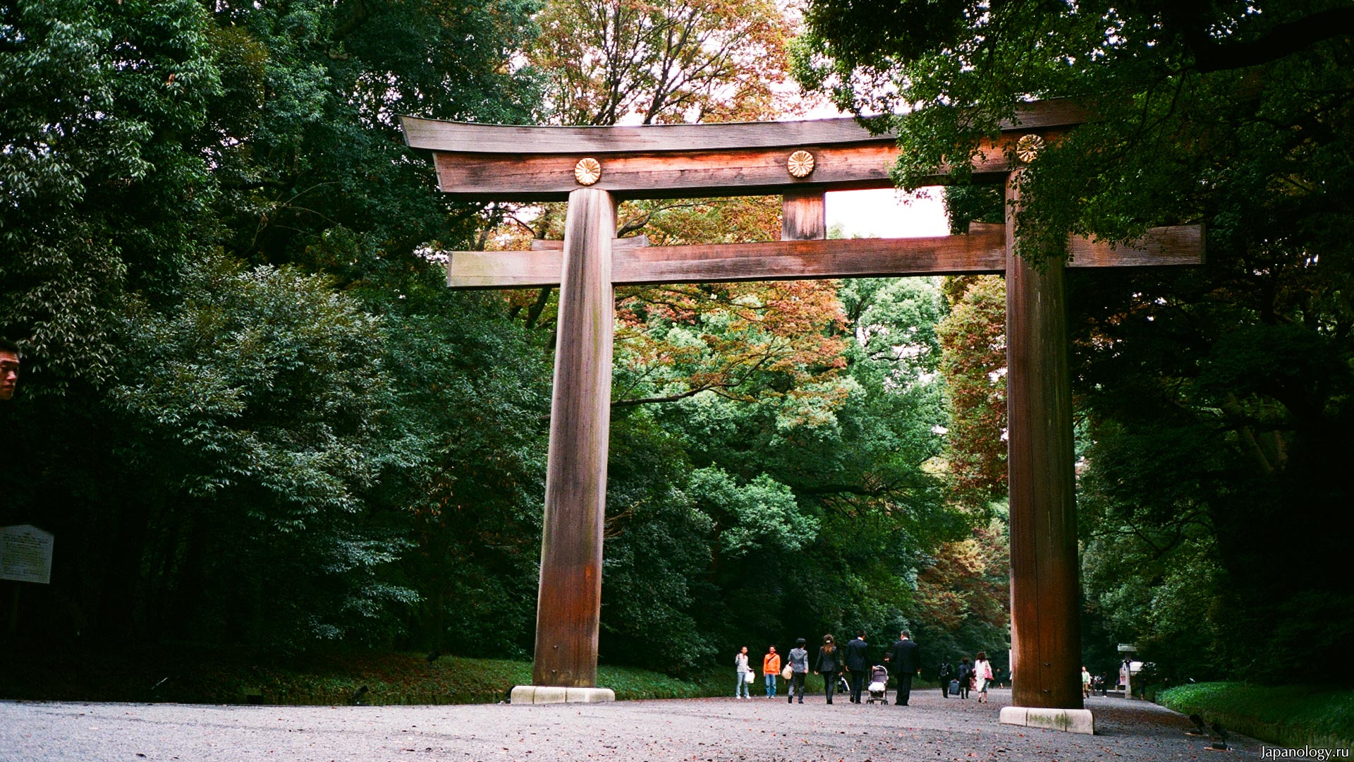 070514_meijijingu_torii.jpg