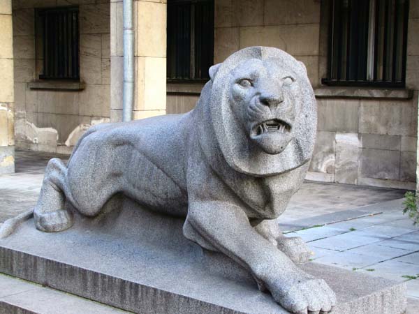 09-Lion_MVR.jpg