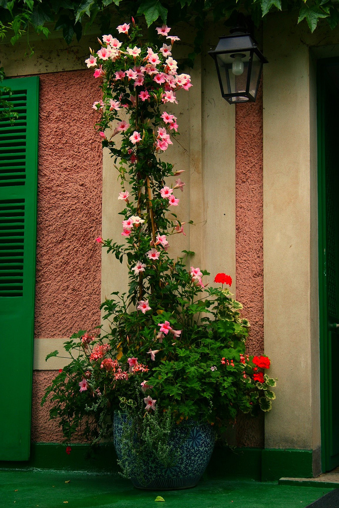 0_d0291_2f5b2d69_XXL.jpg