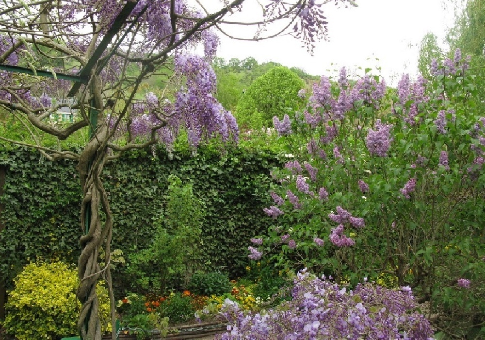 0_d046b_9d561cb5_XXL.jpg