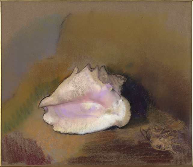 0hdla_coquille.jpg