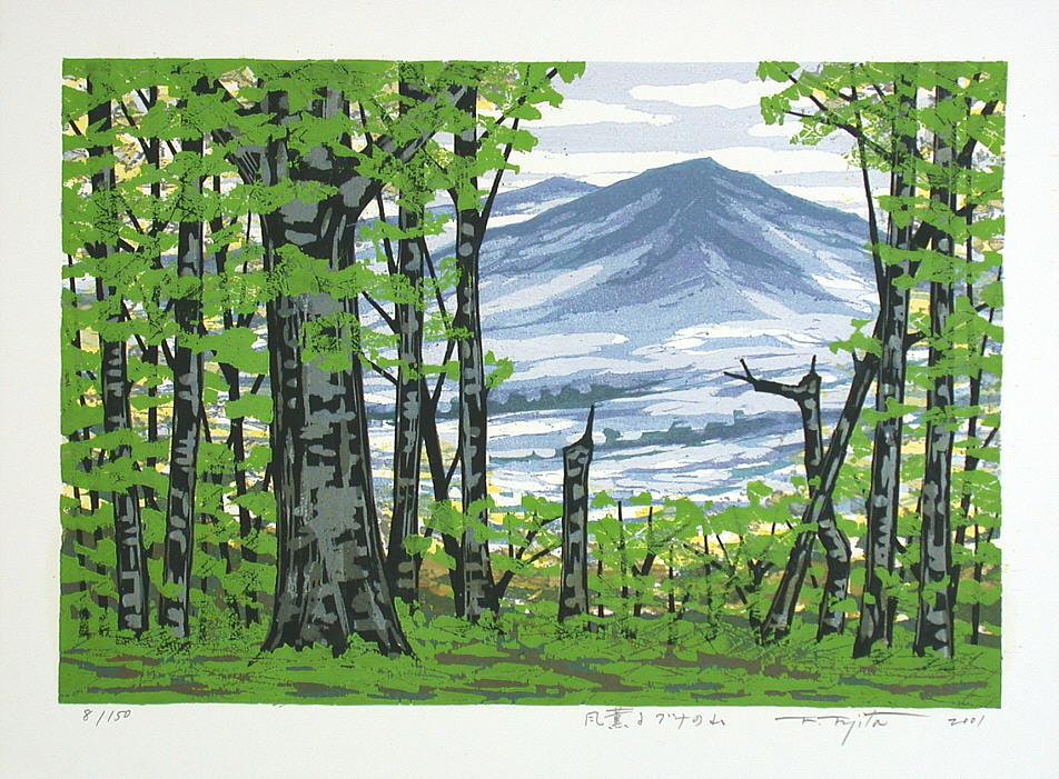 1фудзита5084g1.jpg
