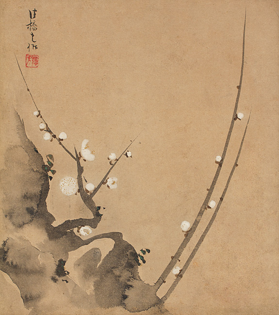 1._White_Blossoming_Plum.jpg