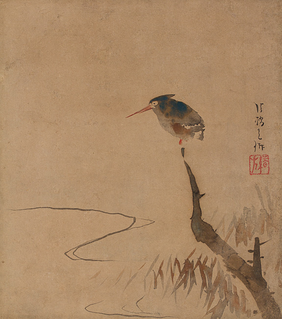 10._Kingfisher.jpg