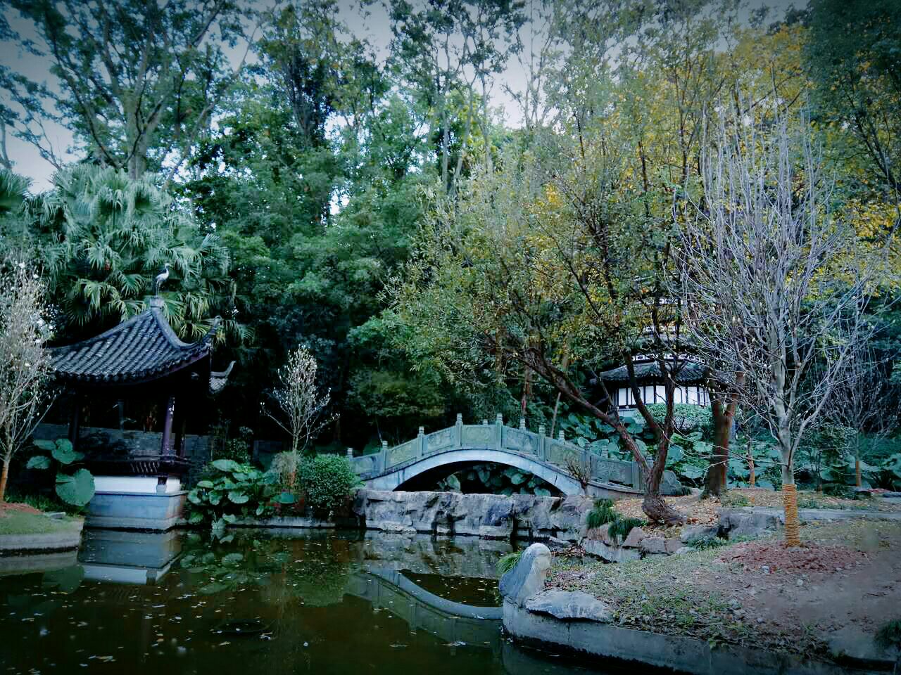 100p0c0000006ogbhD933.jpg