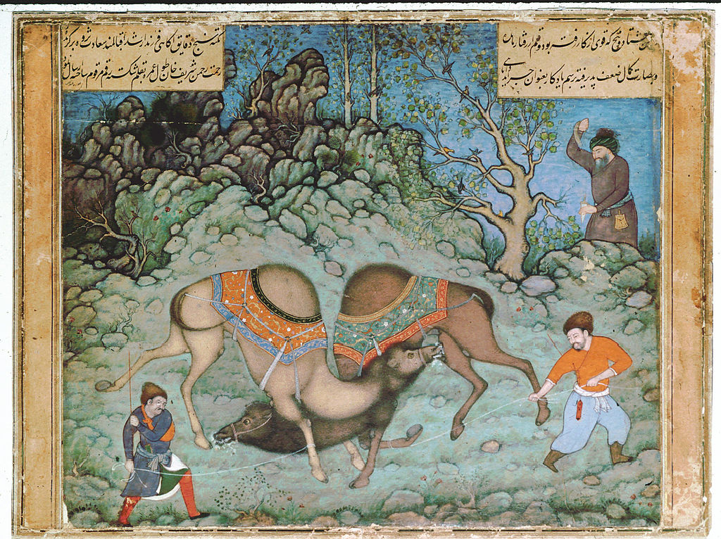 1024px-Abd_al_Samad._Two_Fighting_Camels_ca._1590._Private_Collection.jpg