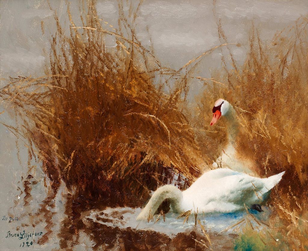 1024px-Bruno_Liljefors_-_Svanar_vid_strandkanten.jpg