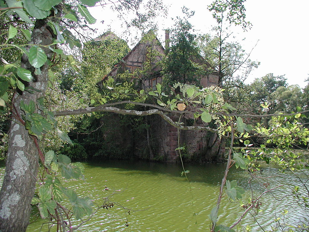 1024px-Burgsinn-MSP-035.JPG