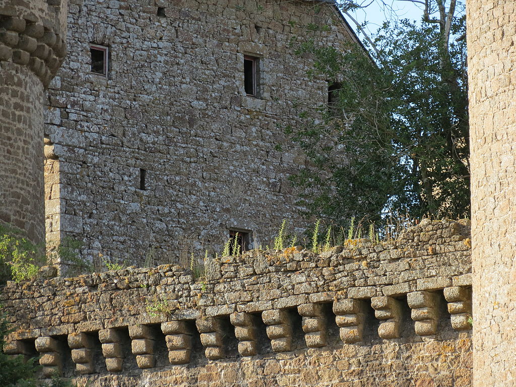 1024px-Château_de_Lassay_14.JPG