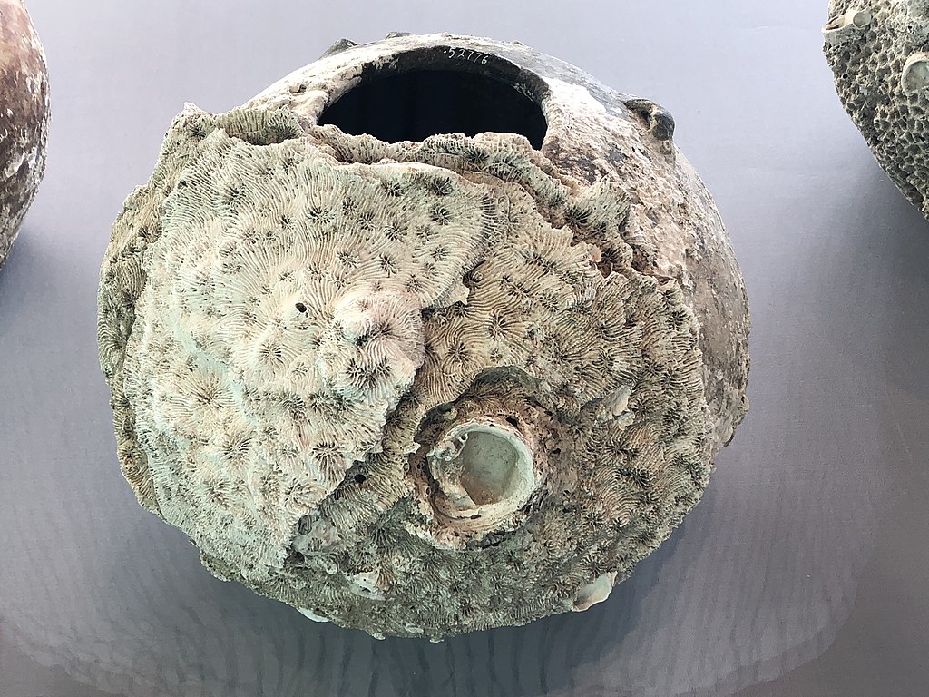 1024px-Changsha_stoneware_pitcher_830s_Tang_shipwreck_IMG_9360.jpg