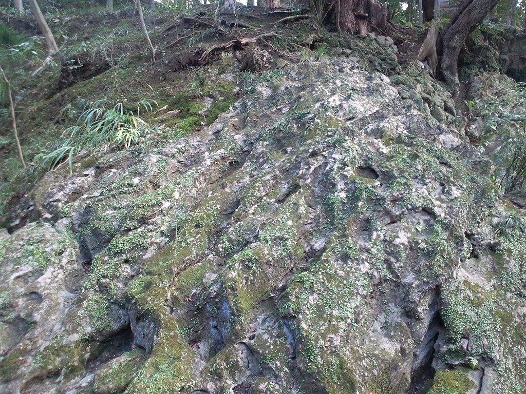 1024px-Ishiyama-dera_Temple_-_Rock_with_moss.jpg