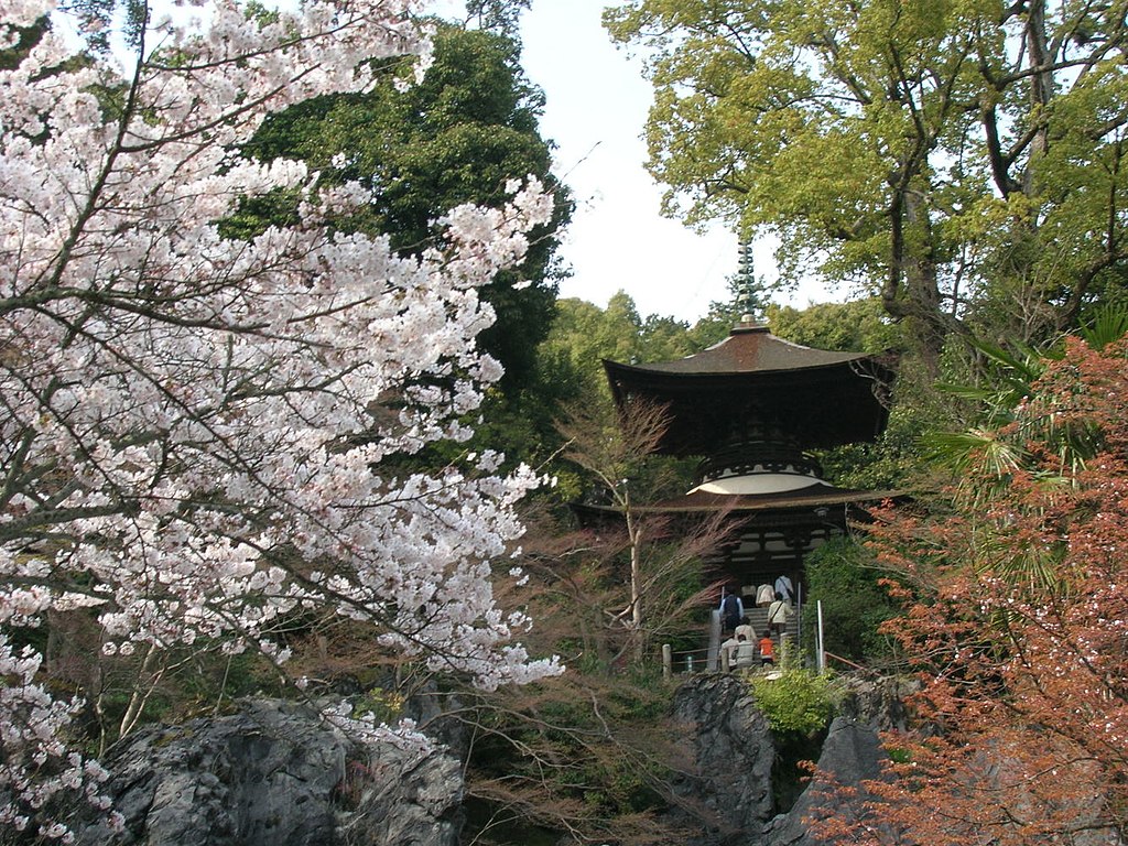 1024px-Ishiyama1.jpg